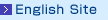 English Site