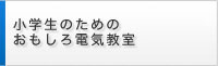 小学生のためのおもしろ電気教室