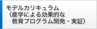 モデルカリキュラム（産学による効果的な教育プログラム開発・実証）